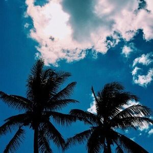 Meet your Posher, Kj